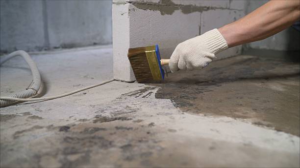 24/7 Emergency Wet Basement Repair experts in Davisburg, MI